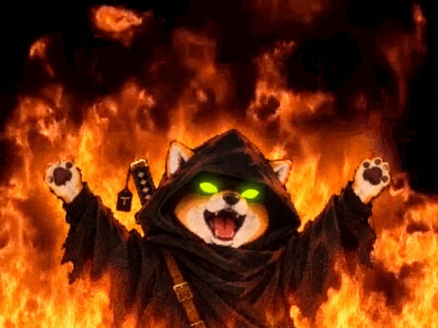 TAO WIF HOOD meme, burn it down