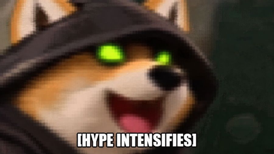 TAO WIF HOOD meme, hype intensifies