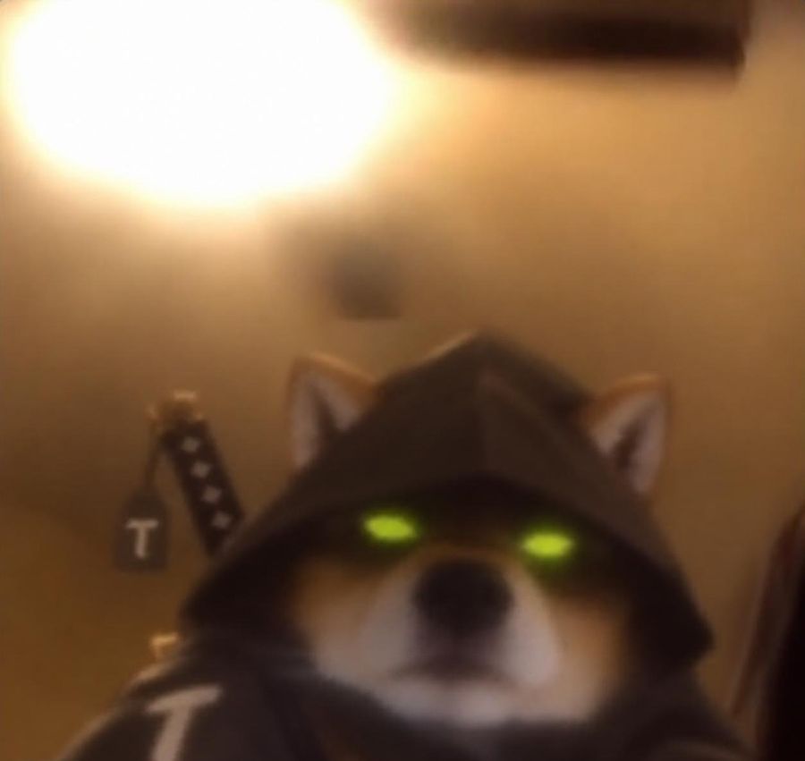 TAO WIF HOOD meme, night vision