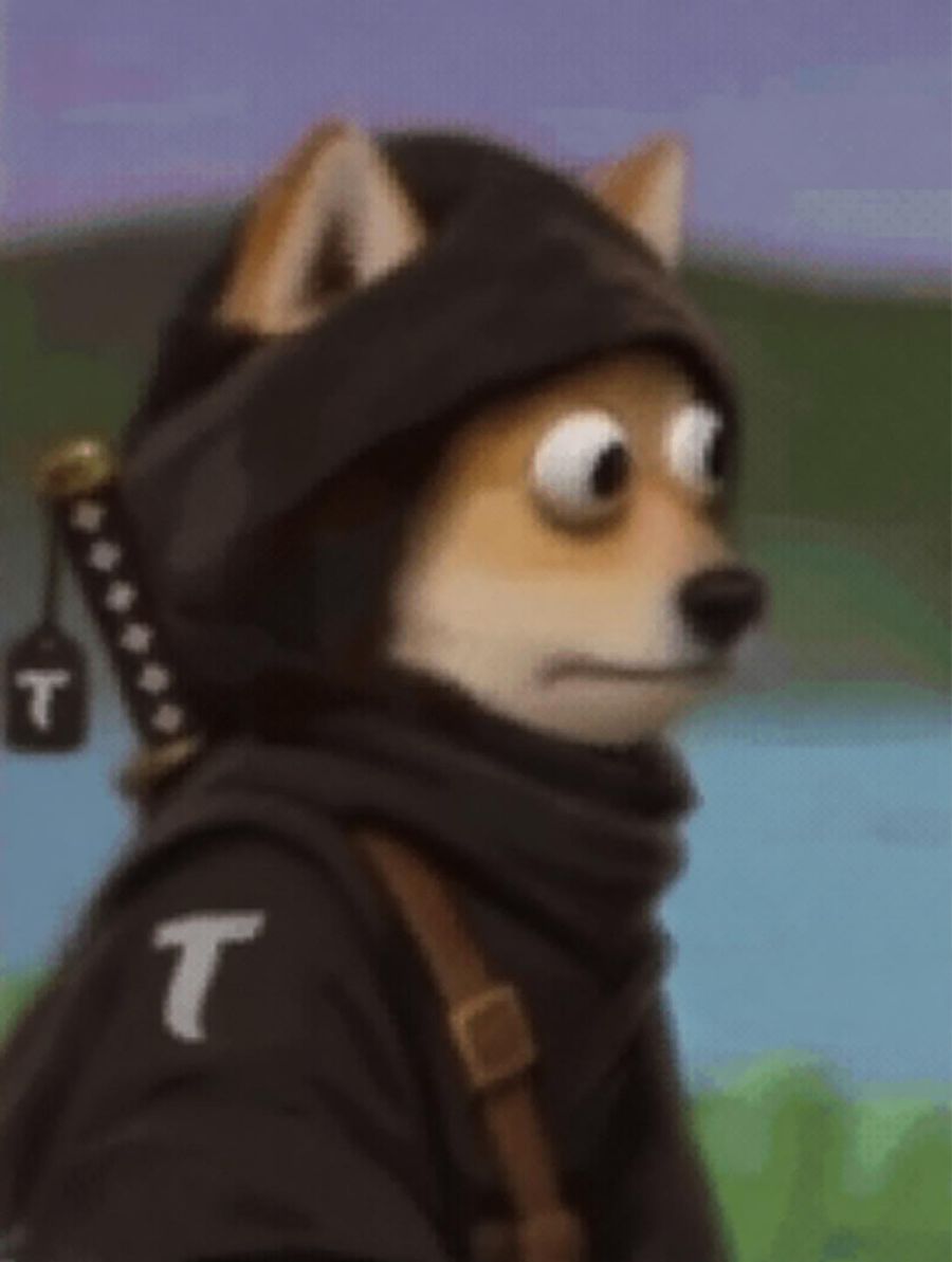 TAO WIF HOOD meme, side eye